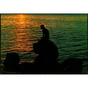 Sunrise - Agenda 107