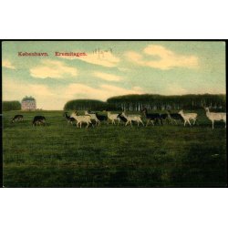 Kbenhavn - Eremitagen - Margasin du Nord 40 - Ubrugt