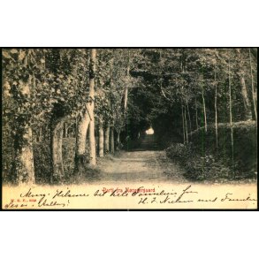 Parti fra N�ragergaard - W.K.F. 3303 - Brugt