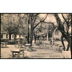 Nyk�bing F. - Restaurationen i Vesterskov -  Stender 1586 - Ubrugt