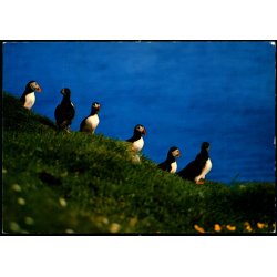 Lundar - Postverk Froya u/n - Ubrugt