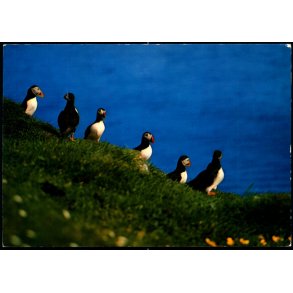 Lundar - Postverk Froya u/n - Ubrugt