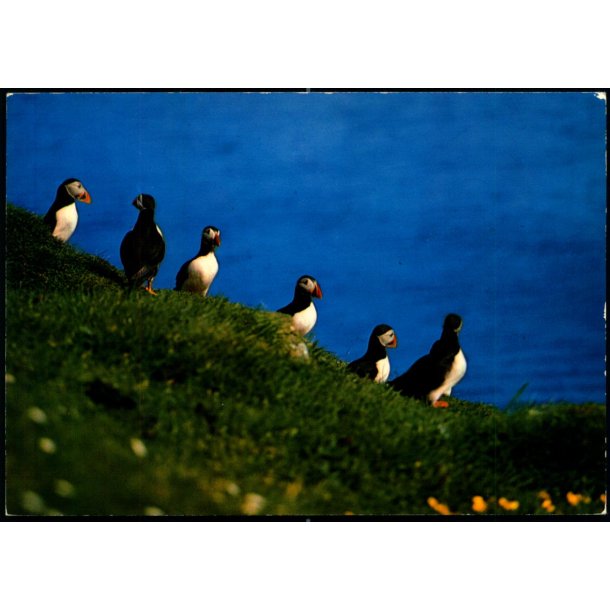 Lundar - Postverk Froya u/n - Ubrugt