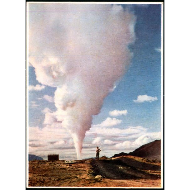 N&auml;maskard - Gudni P&ograve;rdarson u/n - Ubrugt