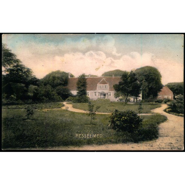 Hesselmed - C. St. 4808 - Brugt