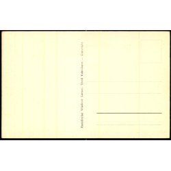 Kbenhavn - Tivoli - W. Larsen u/n - Ubrugt