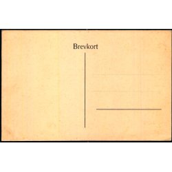 Kostumebillede fra det 14. Aarhundrede - u/n - Ubrugt