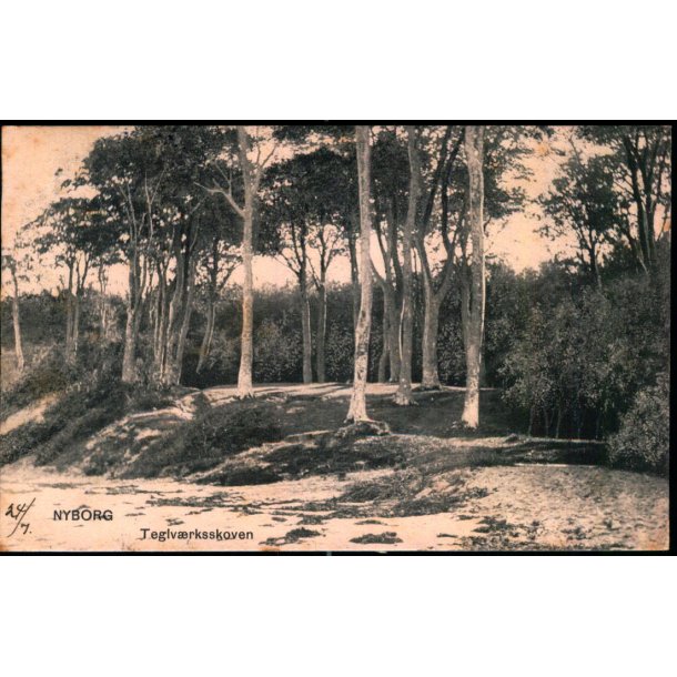 Nyborg - Teglv�rksskoven - Peter Alstrup 7120 - Brugt