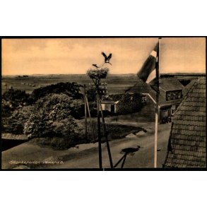 Storkereden - Veders� - H. Lohses Bogh. 15670 - Ubrugt