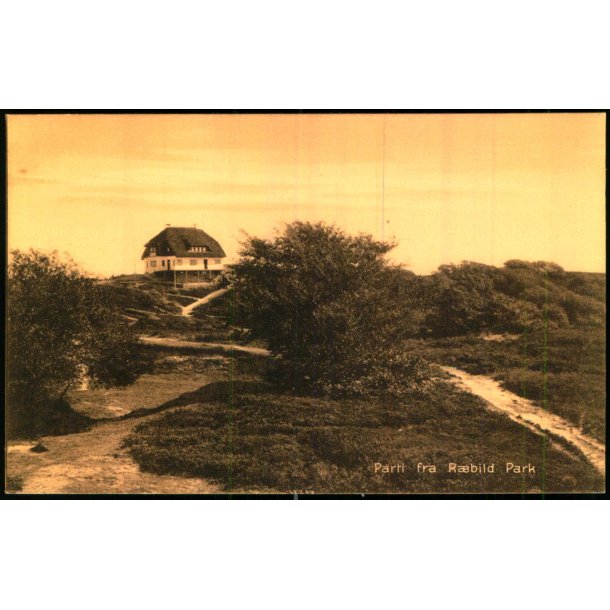 Parti fra Rebild Park - Sk�rping Bogh. 40551 - Ubrugt