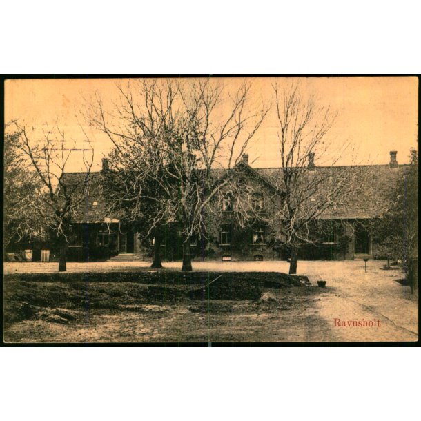 Ravnsholt - A. Jensen 116941 - Brugt