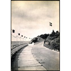 Dansk Lokomotivmands Forenings Ferie og Rekreationshjem - R�sn�s