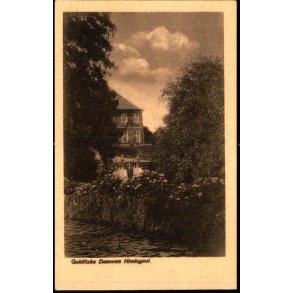 Guldfiske Dammen Hindsgaul - C. Liisberg 29 - Ubrugt