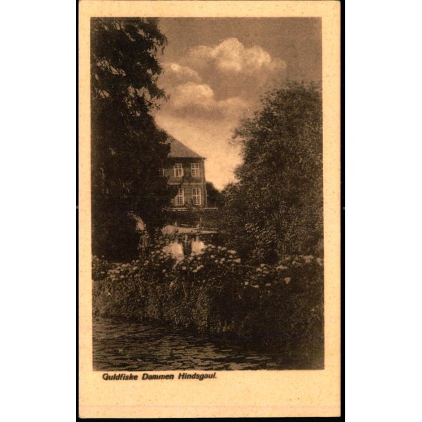 Guldfiske Dammen Hindsgaul - C. Liisberg 29 - Ubrugt