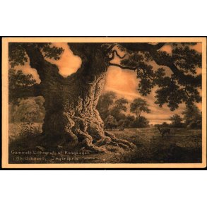 Gammelt Lithografi af Konge Egen i Nordskoven - Jgerspris - K.V. Nielsens Bogh. 26285 - Ubrugt