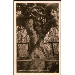 Jgerspris - Hngebgen i Fasangaarden - H. Poulsen 1297 - Ubrugt