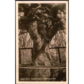 Jgerspris - Hngebgen i Fasangaarden - H. Poulsen 1297 - Ubrugt