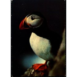 Lundin - Asmundur Poulsen u/n - Brugt