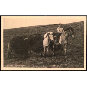 Island - H�transport - Hj�lp til D�vstumme u/n - Ubrugt