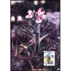 Ldden troldurt - Grnlands Post 33/92 - Brugt