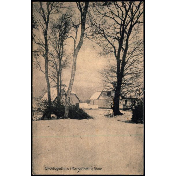 Skovfogedhus i Marselisborg Skov - P.J. 28 - Ubrugt