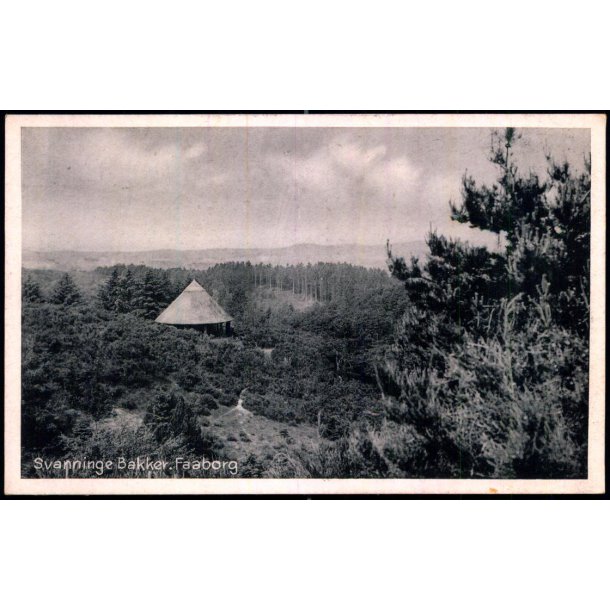 Svanninge Bakker - Faaborg - Ole Bagers Bogh. 76202 - Ubrugt