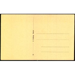 Guldfiske Dammen Hindsgaul - C. Liisberg 29 - Ubrugt