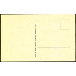 Taasinge -  Parti ved  Bregninge Kirke - Chr. G. Kielbergs Bogh. u/n - Ubrugt