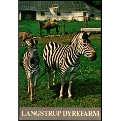 Langstrup Dyrefarm - Top Card 955