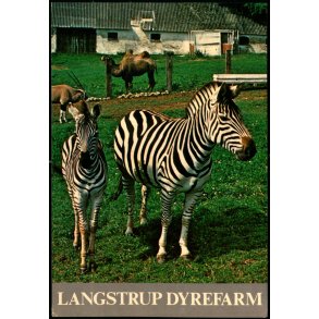 Langstrup Dyrefarm - Top Card 955