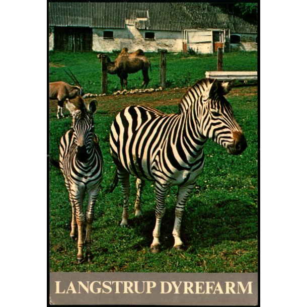 Langstrup Dyrefarm - Top Card 955