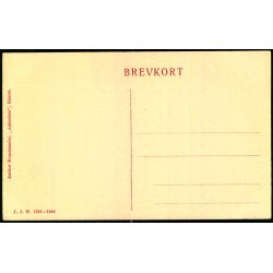 Aarhus - Domkirken - J.J.N. 1391 - Ubrugt