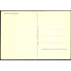 Gallehus - Guldhorns Stenene - N. Bossen 352 - Ubrugt