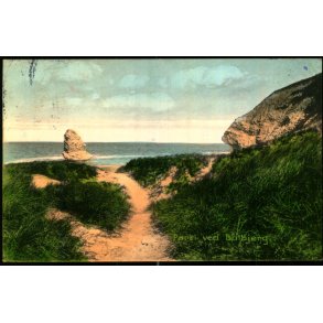 Parti ved Bulbjerg - Stender 13254 - Brugt