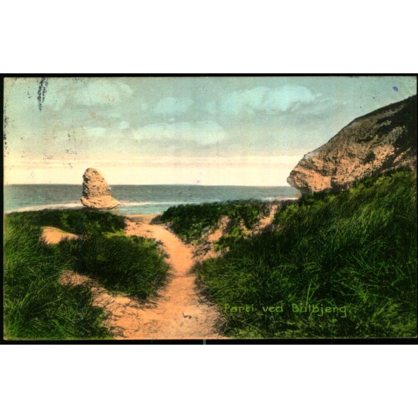 Parti ved Bulbjerg - Stender 13254 - Brugt