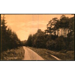 Fra Tisvilde Hegn - A. Jensens Bogh. 43409 - Ubrugt