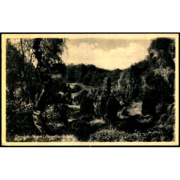 Tisvilde Hegn - Paradisdalen - Rudolf Olsen 168 - Brugt