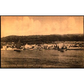 Tisvildeleje Strand med Hegnet i Baggrunden - S. Nielsen 51278 - Ubrugt