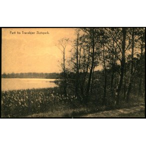 Parti fra Tranekjr Slotspark - u/n - Ubrugt