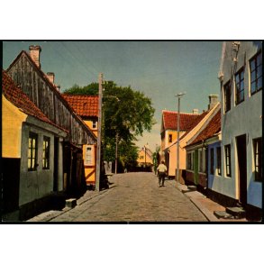 �r� - �r�sk�bing - N�rregade set fra G�setorvet - Dancolor V12 G. Ubrugt