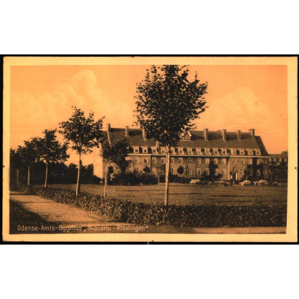 Odense - Amts Sygehus - konomi - Afdelingen - J.C.P.V. u/n - Ubrugt