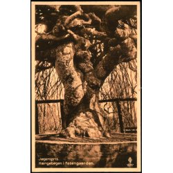 Jgerspris - Hngebgen i Fasangaarden - Chr. Olesen 1297 - Ubrugt