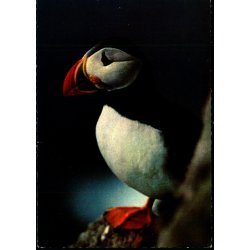 Lundin - Asmundur Poulsen u/n - Brugt