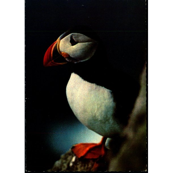 Lundin - Asmundur Poulsen u/n - Brugt