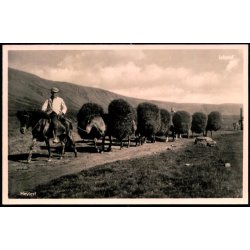 Heylest - Fotokort Baldvin P&agrave;lsson u/n - Ubrugt