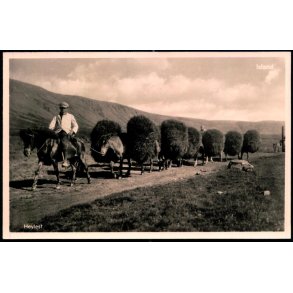 Heylest - Fotokort Baldvin P&agrave;lsson u/n - Ubrugt