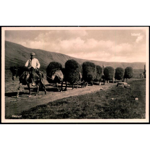 Heylest - Fotokort Baldvin P&agrave;lsson u/n - Ubrugt