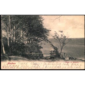 Aarhus - Vejen til Silistria  - W.K.F. 519 - Brugt