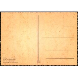 Udsigt over K�benhavn - Kr�ger 989/10 - Ubrugt