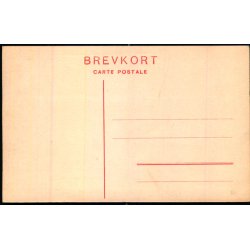 Holger Drachmanns Hjem i Skagen - Fotokort Stender 761 - Ubrugt